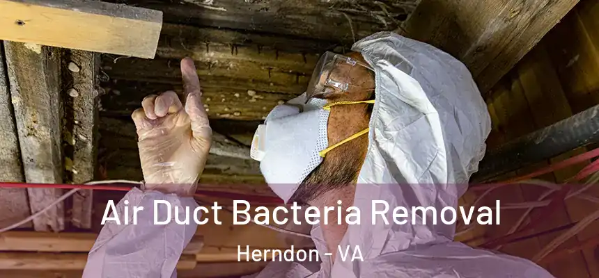  Air Duct Bacteria Removal Herndon - VA