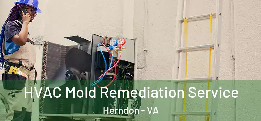 HVAC Mold Remediation Service Herndon - VA