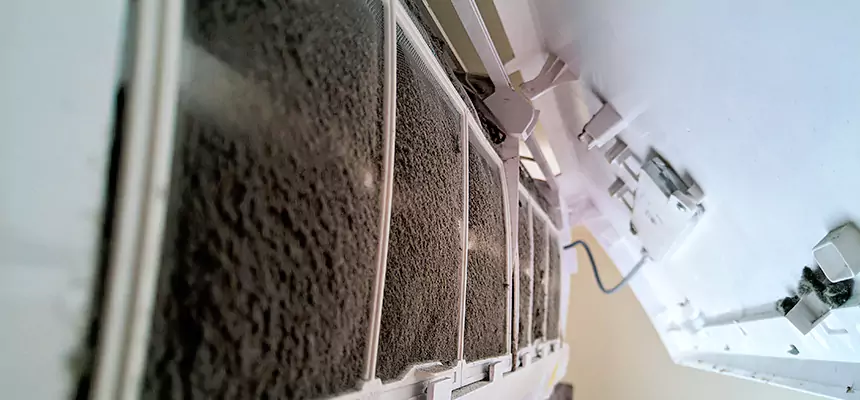 Preventive Air Duct Bacteria Removal in Herndon