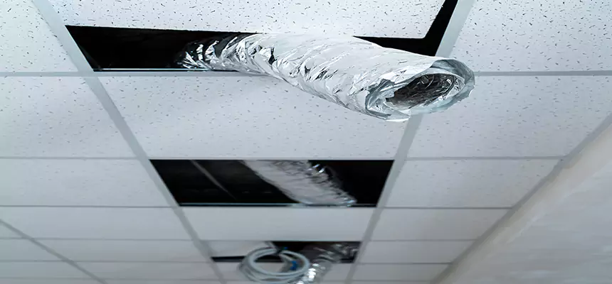 Affordable HVAC Sanitizing After Pest Removal in Herndon