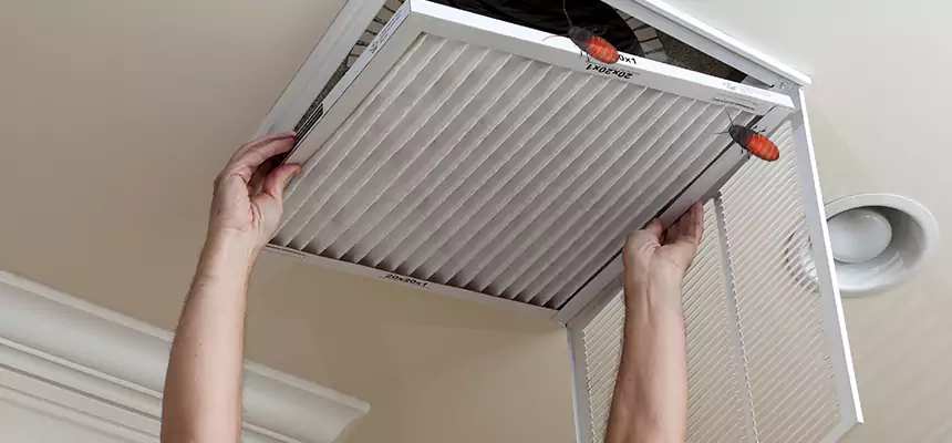 Our Insect Removal from Air Ducts Services in Herndon, VA