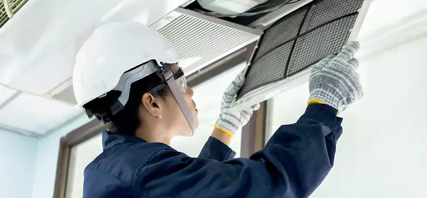 Our Mold & Mildew Removal from Air Ducts Services in Herndon, VA