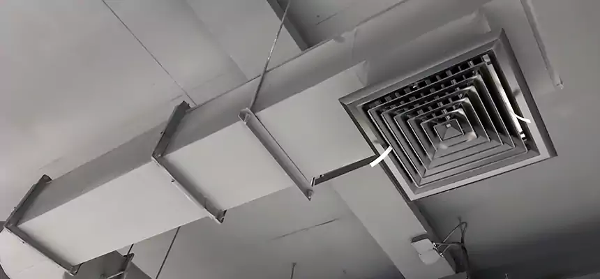 Our Pest Removal From Ducts Services in Herndon, VA