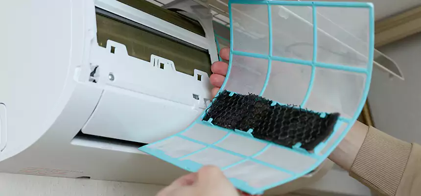 Gentle Ductwork Odor-Control Pet Dander Duct Cleaning in Herndon, VA