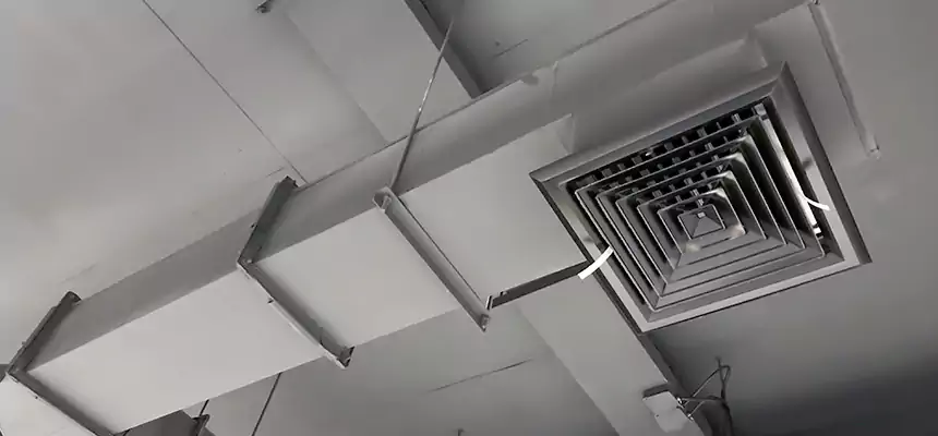 Our Rodent Droppings In Vents Services in Herndon, VA