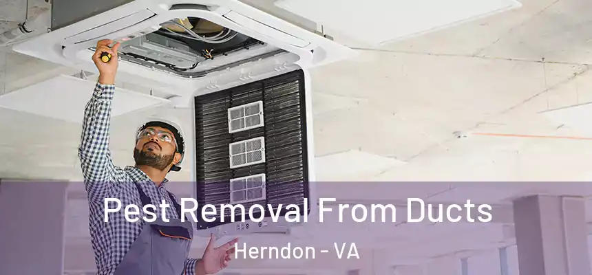 Pest Removal From Ducts Herndon - VA