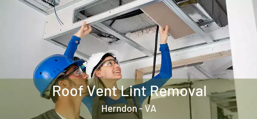 Roof Vent Lint Removal Herndon - VA
