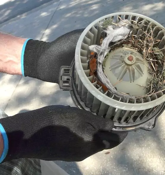 About Air Duct Mice Removal in Herndon, VA