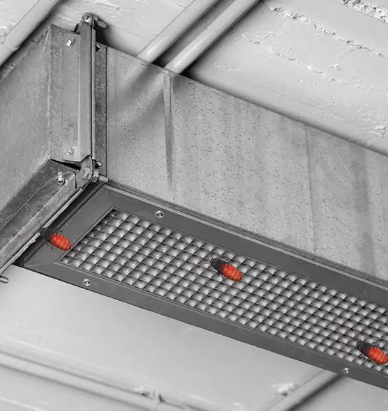 Affordable Insect Removal from Air Ducts in Herndon, VA