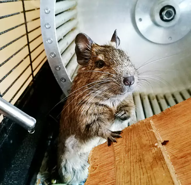 Why Homeowners & Businesses Trust Us Herndon, VA